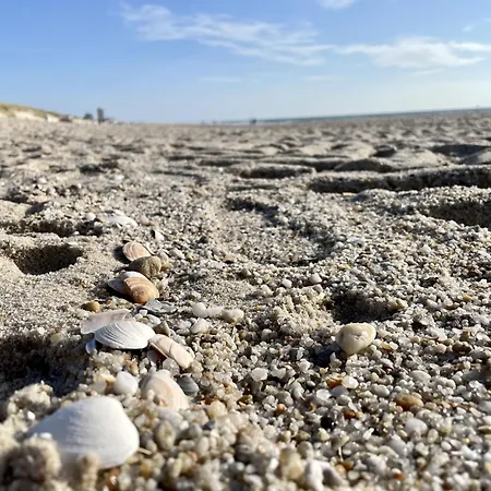 Apartment Robbe Westerland