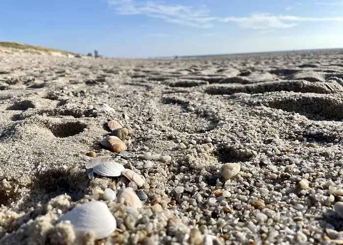 Апартаменты Robbe Вестерланд