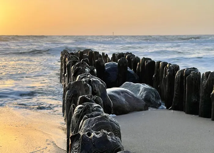 Robbe Апартаменты *